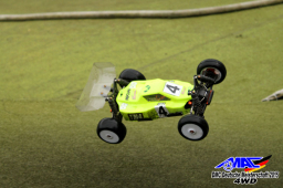 2015 DM 4WD Buggy 4WD Juni